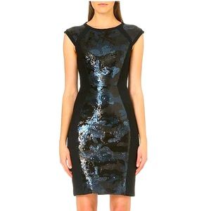 NWOT Ted Baker Namora Dress M 8